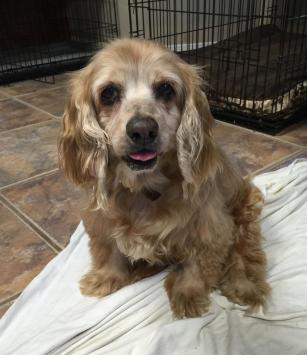 12773056_10208747186227060_545837246_o