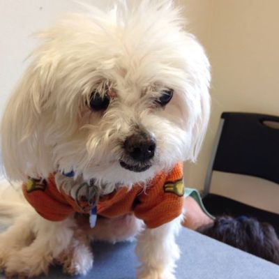 10330341_10201602508894567_7639716498094070560_n