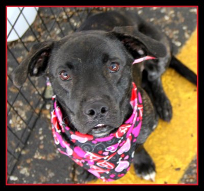 526227_10200591747893199_36382340_n